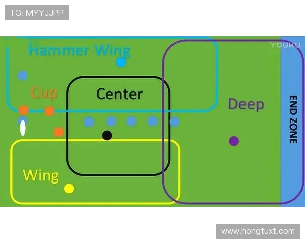 重庆飞盘队的战术解析与控制体系构建探讨